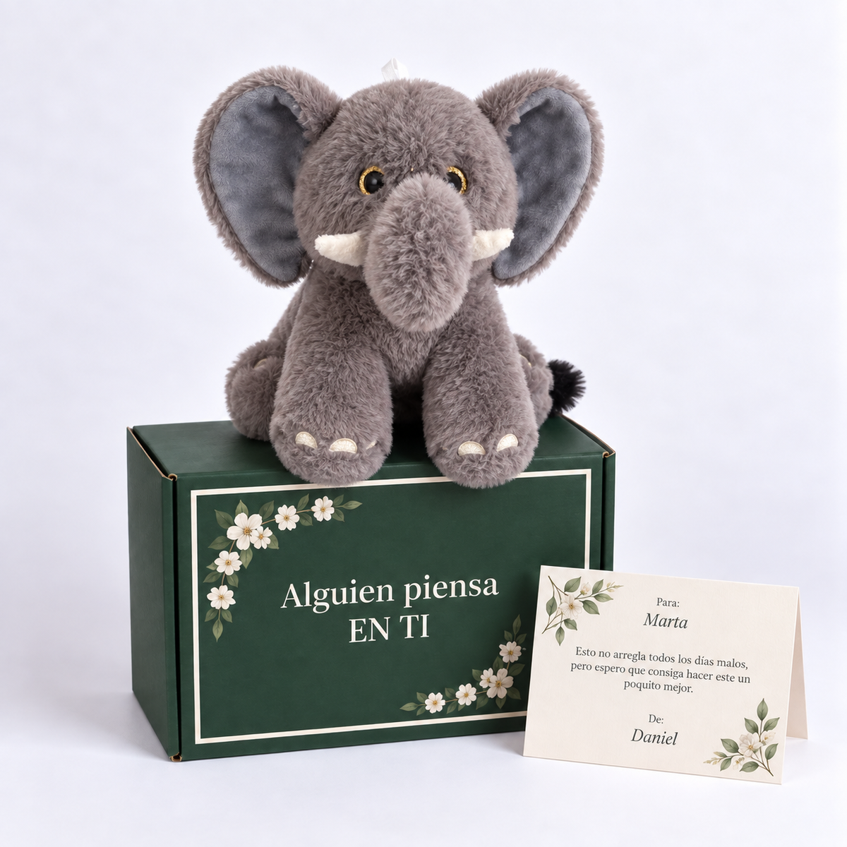 NALA LA ELEFANTE 🐘